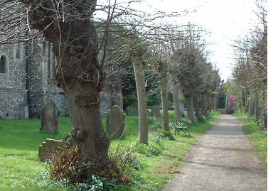 Great Waltham Churchyard